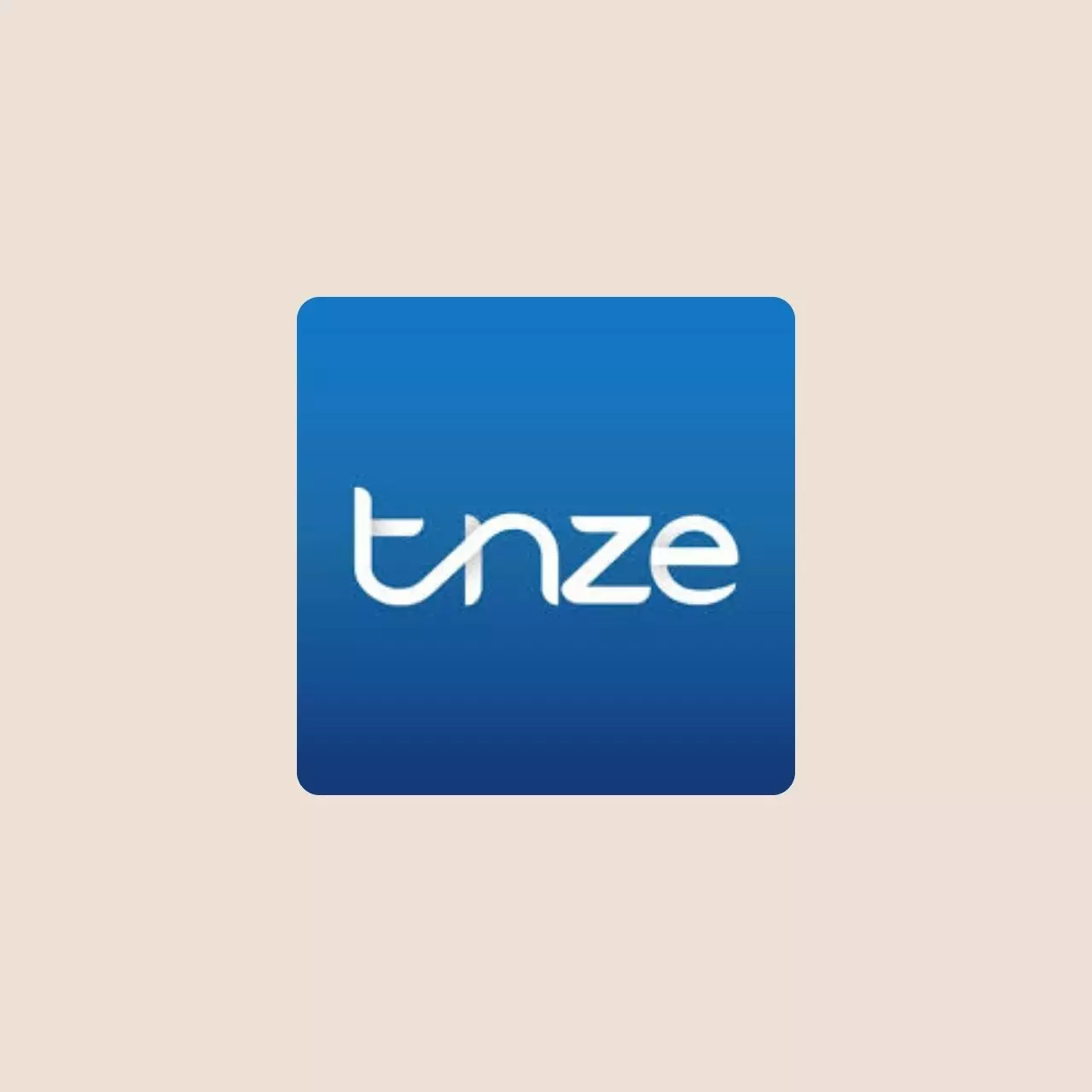 TNZE CASINO